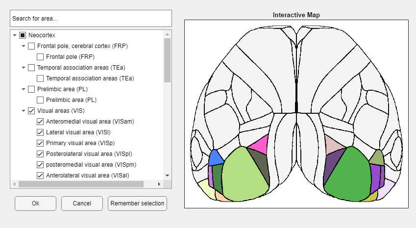 Allen Atlas ROI selection interface