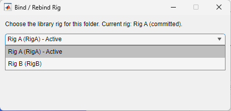Bind / Rebind Rig dialog with Rig A (RigA) - Active pre-selected and Rig B in the list