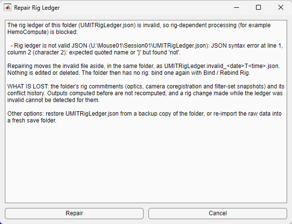 Repair Rig Ledger dialog listing the integrity problem, what repairing does, what is lost and the other options, with Repair and Cancel buttons