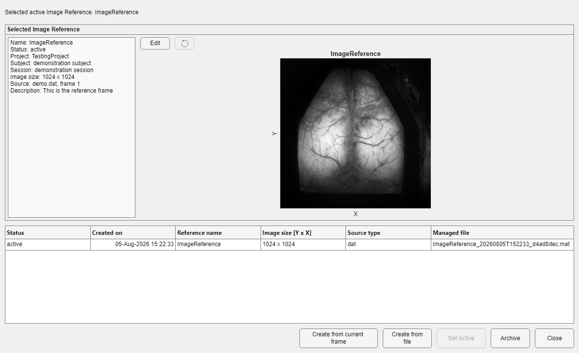 Image Reference Manager with an active reference selected