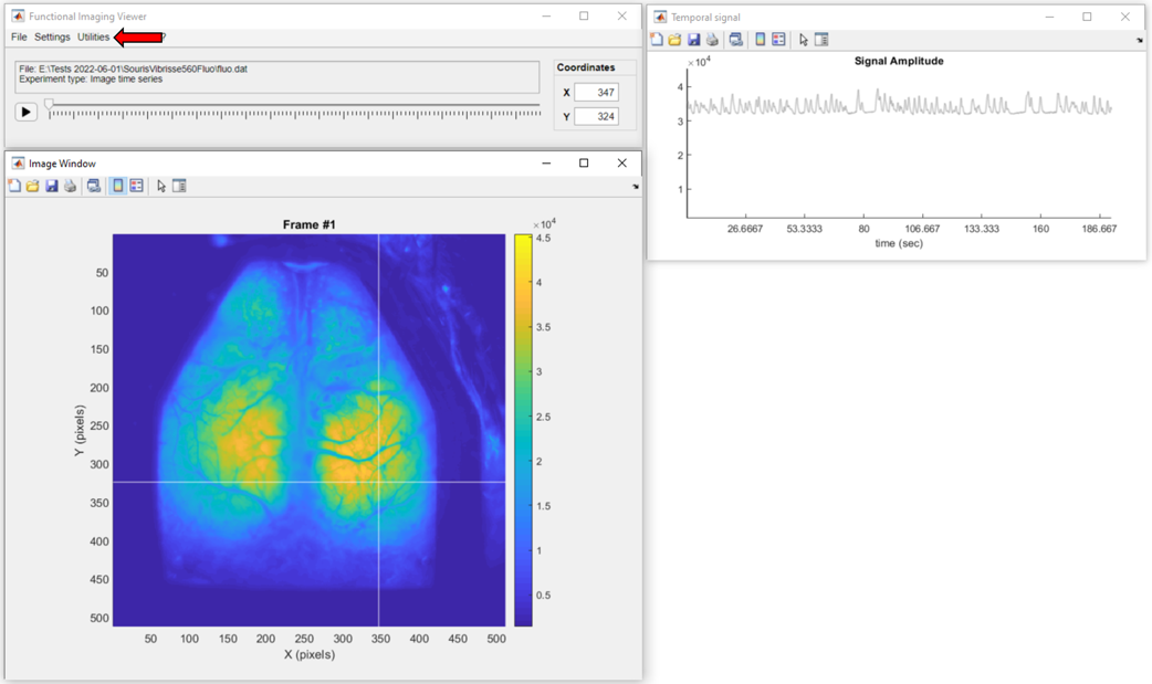 dataviewer_fluo_file_example