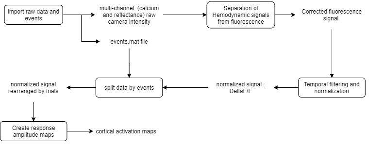 tt_creating_evnt_triggered_avg_maps_ppline_workflow