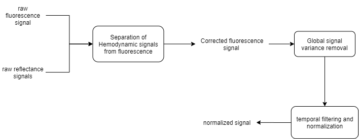 tt_extracting_data_from_rois_RS_preprocess_workflow