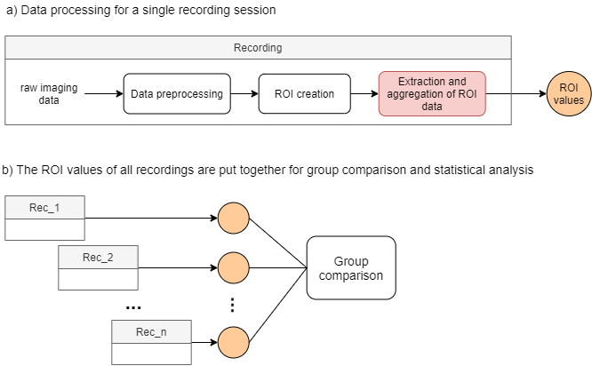 tt_extracting_data_from_rois_concept_fig.png