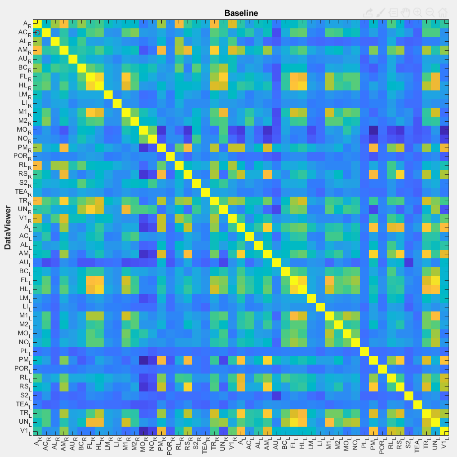 tt_extracting_data_from_rois_corr-mat_plotExample