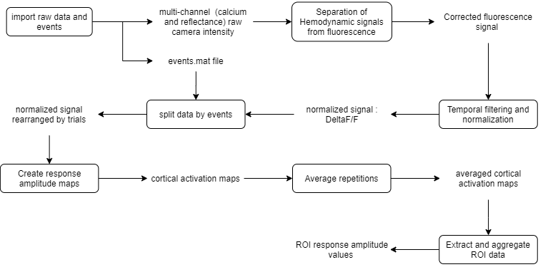 tt_viz_data_event_trig_data_processing_workflow