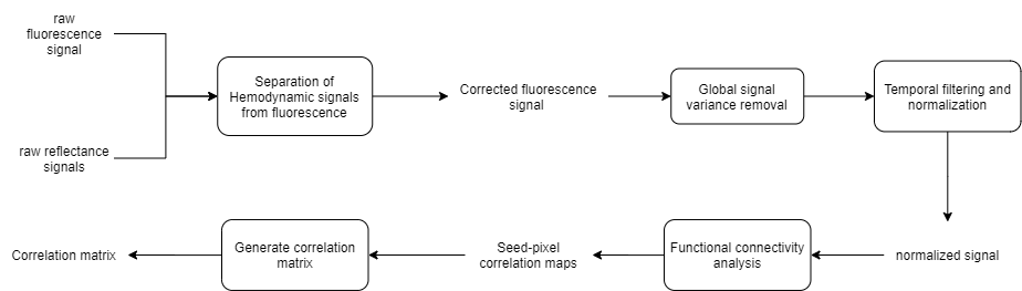 tt_viz_spcm_data_processing_workflow